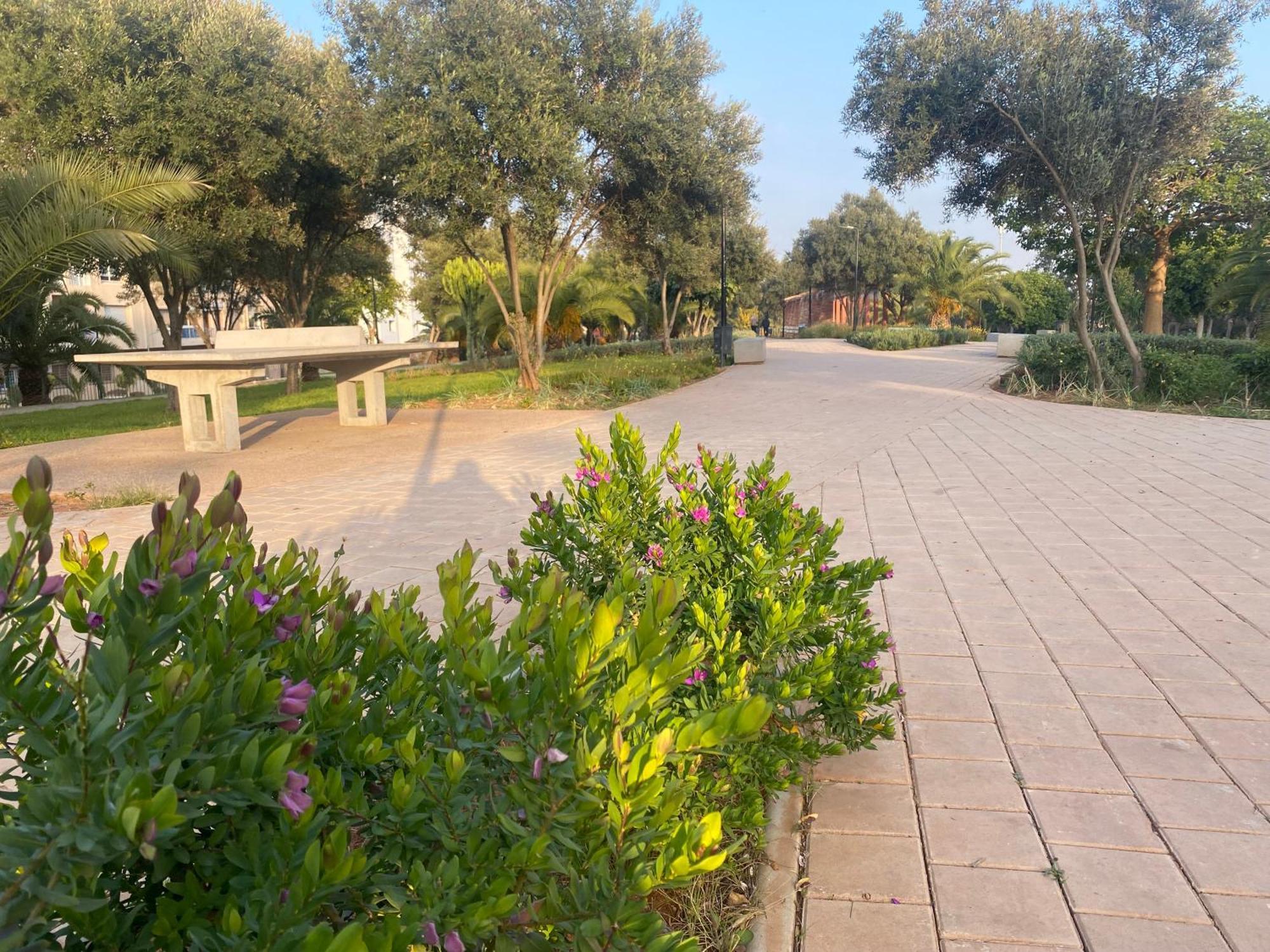 Cosy Greeny 3 Bdr - Downtown Near Oasis Train And Tramway Casablanca Exterior foto